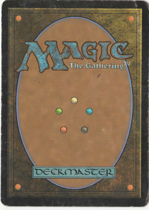 Magic the Gathering - Kitsune Diviner