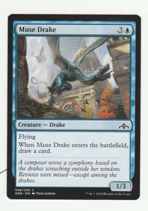 Magic the Gathering 2018 (NM) - Muse Drake - Common - Guilds of Ravnica