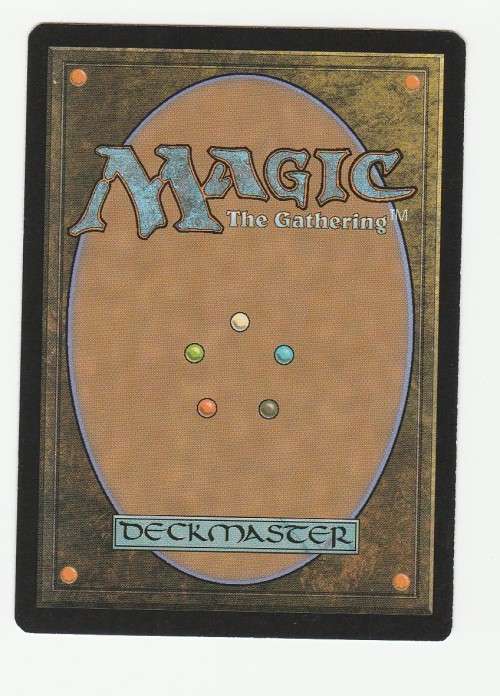 Magic the Gathering 2015 (NM) - Scaleguard Sentinels - Uncommon - Dragons of Tarkir