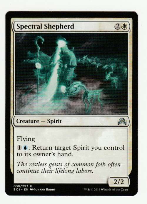 Magic the Gathering 2016 (NM) - Spectral Shepherd - Uncommon - Shadows over Innnistrad