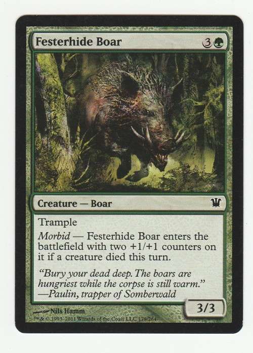 Magic the Gathering 1993-2011 - Festershide Boar - Common - Innistrad