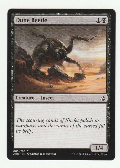 Magic the Gathering 2017 - Dune Beetle - Common - Amonkhet