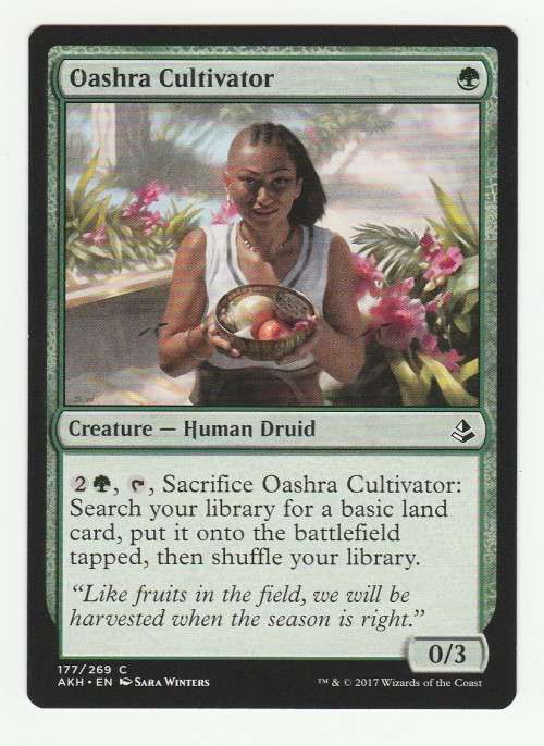 Magic the Gathering 2017 (NM) - Oashra Cultivator - Common - Amonkhet