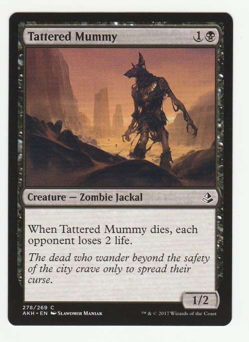 Magic the Gathering 2017 - Tattered Mummy - Common - Amonkhet