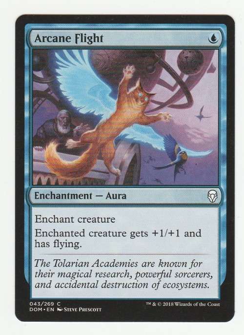 Magic the Gathering 2018 - Arcane Flight - Common - Dominaria