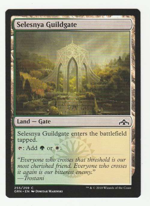 Magic the Gathering 2018 - Selesnya Guildgate 255/259 - Common - Guilds of Ravnica