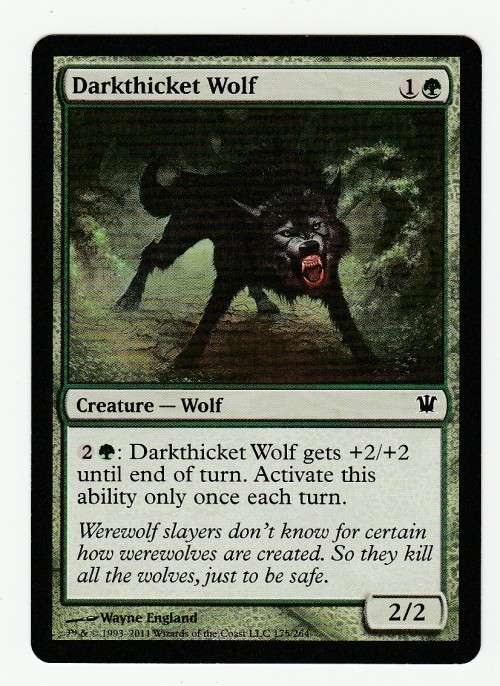 Magic the Gathering 1993-2011 - Darkthicket Wolf - Common - Innistrad
