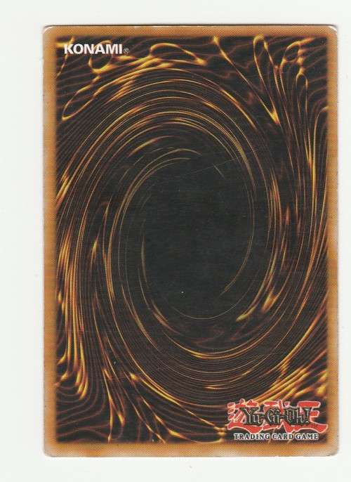 Yu-Gi-Oh! - Salamangreat Burning Shell - Chaos Impact (CHIM-EN051) - Common- 1st Edition