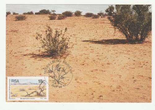 1989 RSA National Grazing Strategy FDC 5.4 and Postcard # 91 -94 Set