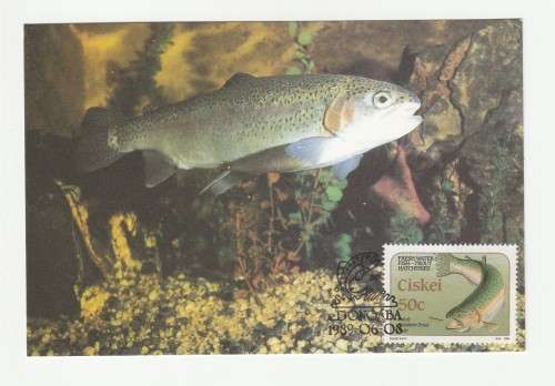 1989 Ciskei Trout Hatcheries Postcard Set #76 - 79