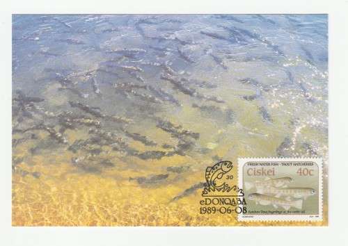 1989 Ciskei Trout Hatcheries Postcard Set #76 - 79