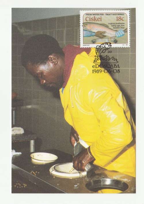 1989 Ciskei Trout Hatcheries Postcard Set #76 - 79