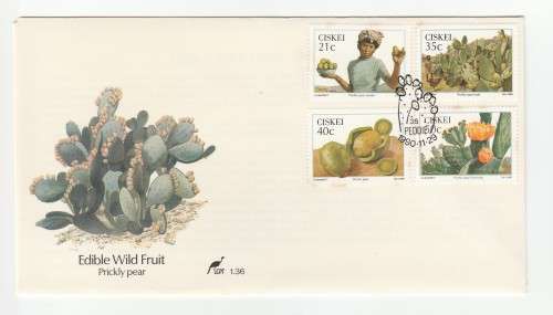 1990 Ciskei Edible Wild Fruit: Prickly Pear FDC 1.36