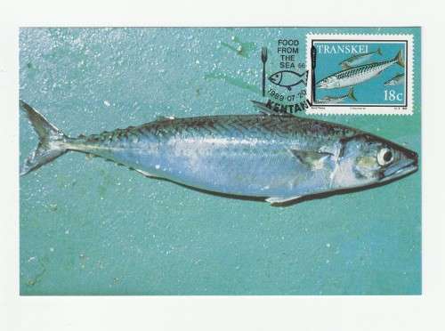 1989 Transkei Food From The Sea Postcard Set #86 - 89