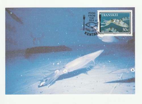 1989 Transkei Food From The Sea Postcard Set #86 - 89