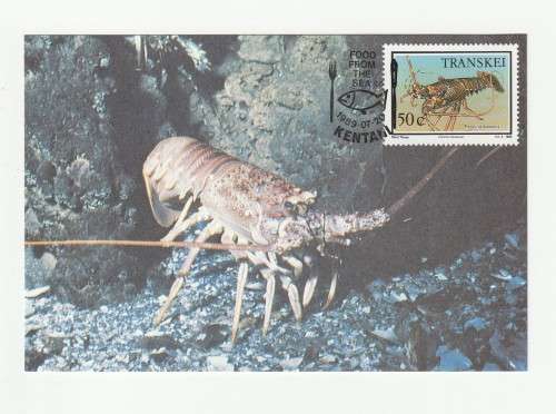 1989 Transkei Food From The Sea Postcard Set #86 - 89