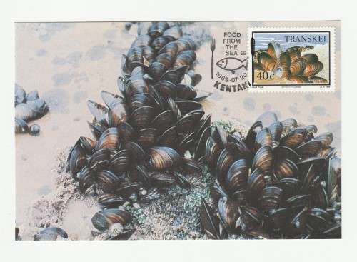 1989 Transkei Food From The Sea Postcard Set #86 - 89