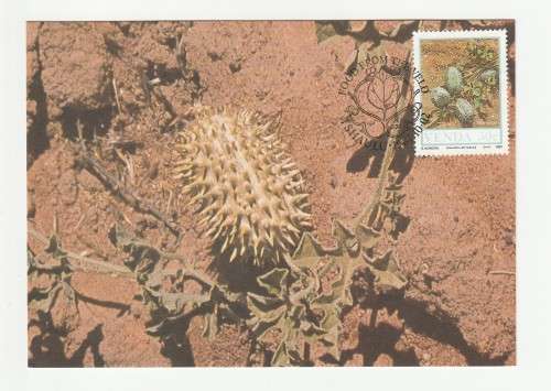 1987 Venda Food From The Veld Postcard Set #54 - 57