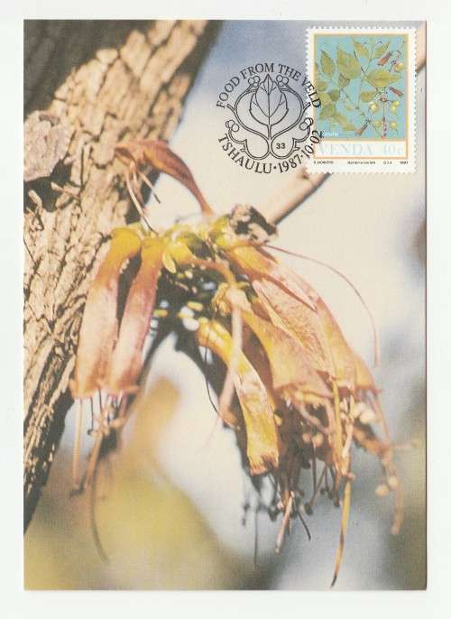1987 Venda Food From The Veld Postcard Set #54 - 57