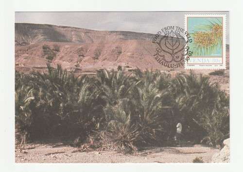 1987 Venda Food From The Veld Postcard Set #54 - 57