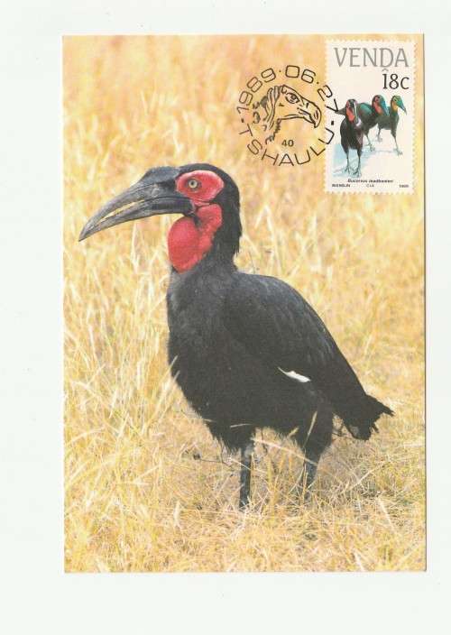 1989 Venda Vulnerable Birds Postcard Set 78 - 81