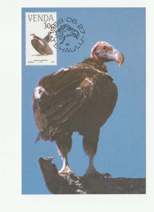 1989 Venda Vulnerable Birds Postcard Set 78 - 81