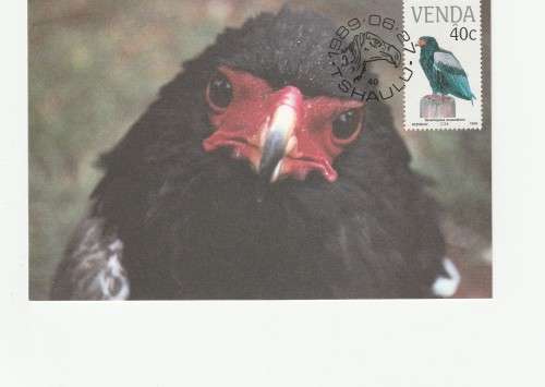 1989 Venda Vulnerable Birds Postcard Set 78 - 81