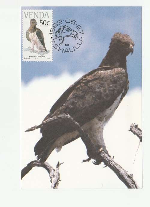 1989 Venda Vulnerable Birds Postcard Set 78 - 81
