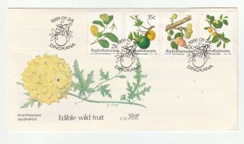 1991 Bophuthatswana Wild Edible Fruit FDC 2.22