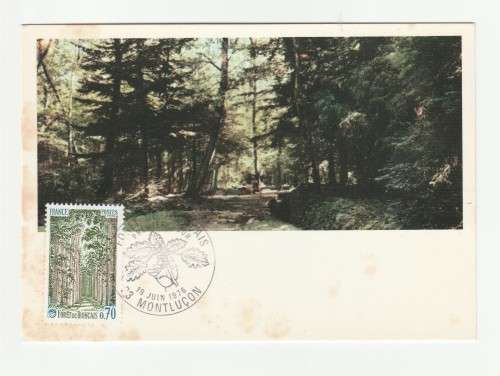 1976 France 19/06/76 La Foret de Troncais Maxicard