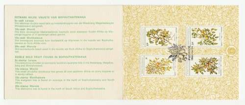 1980 Bophuthatswana Edible Wild Fruit Collectors Sheet FDC 1.12a