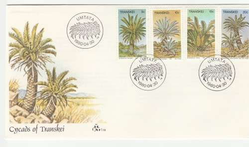 1980 Transkei Cycads FDC 1.18
