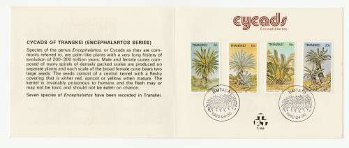 1980 Transkei Cycads Collectors Sheet 1.18a