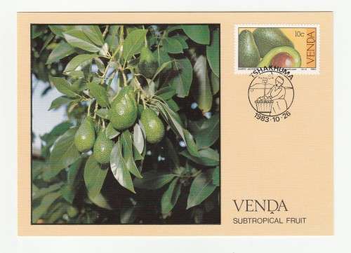 1983 Venda Subtropical Fruit Postcard Set #1 - 4