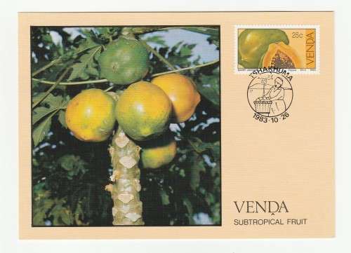 1983 Venda Subtropical Fruit Postcard Set #1 - 4