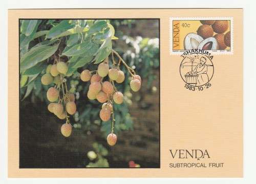 1983 Venda Subtropical Fruit Postcard Set #1 - 4