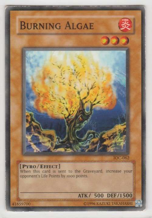Yu-Gi-Oh! - Burning Algae - Invasion of Chaos (IOC-062) - Common