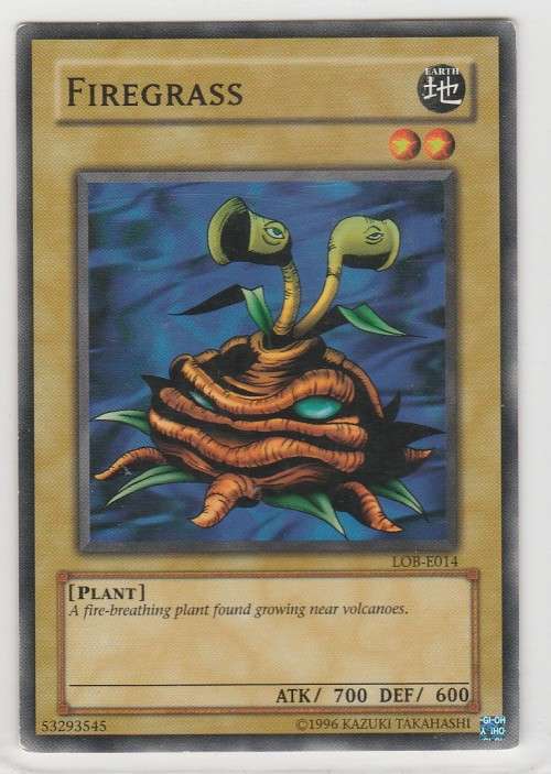 Yu-Gi-Oh! - Firegrass - Legend of Blue Eyes White Dragon (LOB-E014) - Common