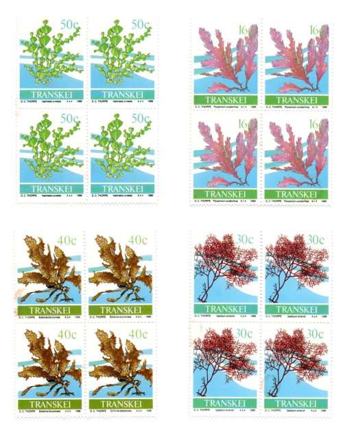1988 Transkei Seaweed FDC 2.15 and Blocks Set