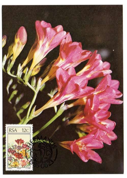 1985 RSA Floral Emigrants Postcard Set