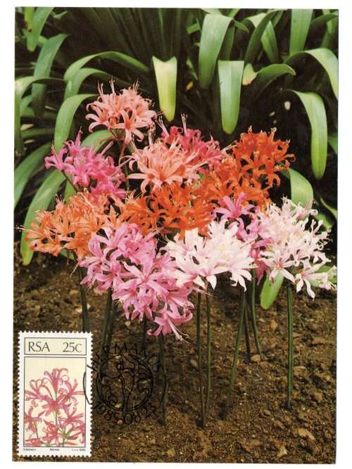 1985 RSA Floral Emigrants Postcard Set