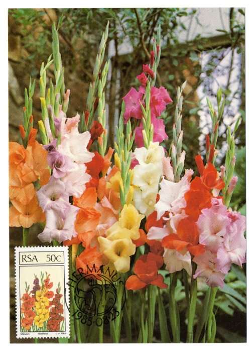 1985 RSA Floral Emigrants Postcard Set