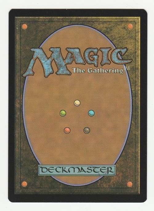 Magic The Gathering 1997 - Forest Land - Common - Portal