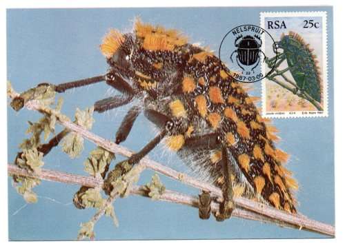 1987 RSA  South African Beetles Postcard Set