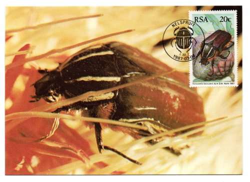 1987 RSA  South African Beetles Postcard Set
