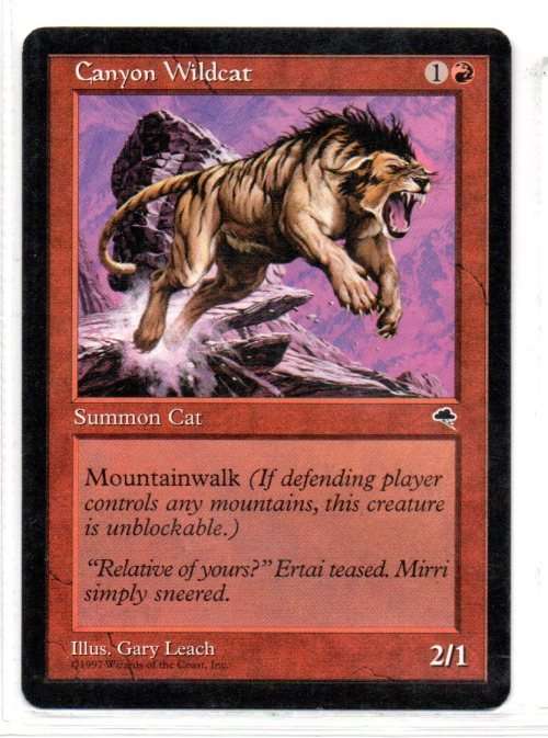 Magic The Gathering 1997 - Canyon Wildcat - Common - Tempest