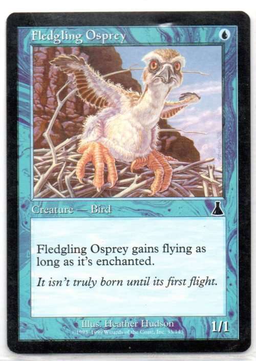 Magic The Gathering 1995-1999 - Fledgling Osprey 33/143 - Common - Urza`s Destiny