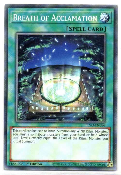 Yu-Gi-Oh! - Breath of Acclamation - 1st Ed/Common - Blazing Vortex (BLVO-EN086)