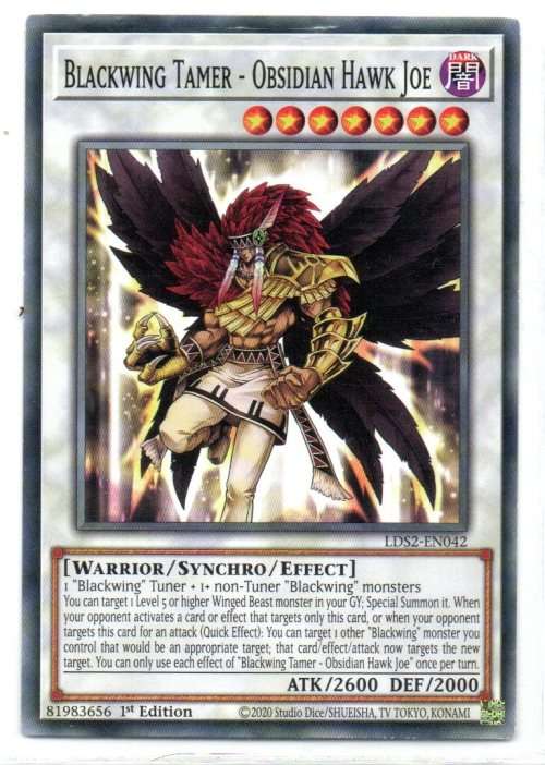 Yu-Gi-Oh! - Blackwing Tamer - 1st Ed/Common - Legendary Duelists: Season 2 (LDS2-EN042)