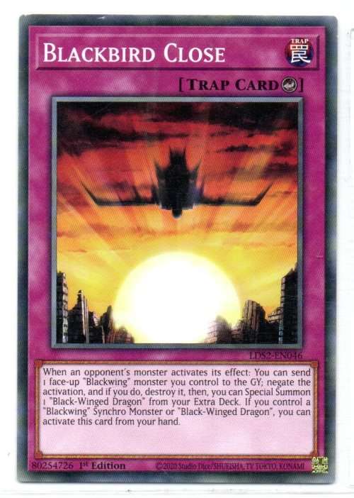 Yu-Gi-Oh! - Blackbird Close - 1st Ed/Common - Legendary Duelists: Season 2 (LDS2-EN046)
